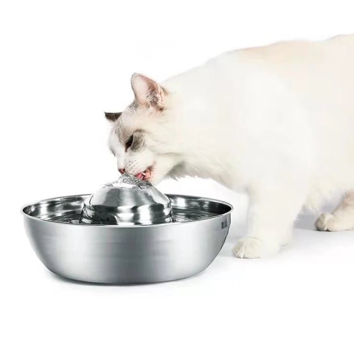 Fresh Filtered Water Bowl